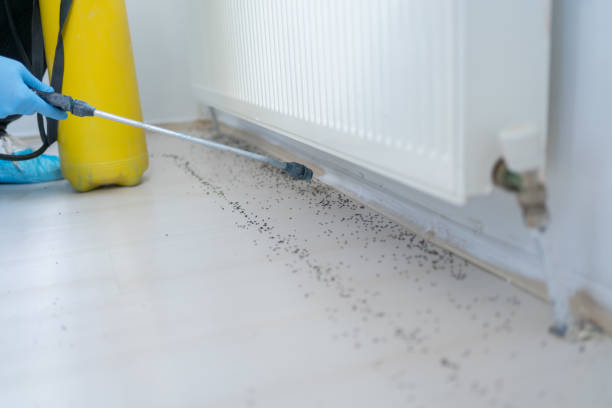 Best Pest Exclusion Services  in Bremen, IN